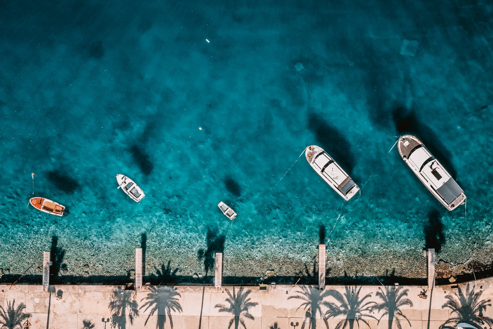Korčula palm promenade